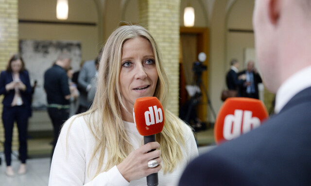 - Hvis det de har lagt fram til nå er det de mener det grønne skiftet er, er dette en tydelig avskjedssøknad